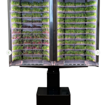 Вертикальная  ферма «Моя микрозелень» комплектация  «Театро настенная» - «globural.ru» - Чайковский