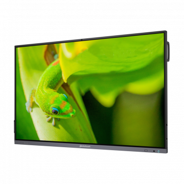Интерактивный программно-аппаратный комплекс Geckotouch Interactive IP65GT-C в комплекте с настенным креплением - «globural.ru» - Чайковский