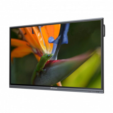 Интерактивный программно-аппаратный комплекс Geckotouch Interactive Pro IP65HT-E  в комплекте с настенным креплением - «globural.ru» - Чайковский