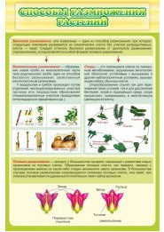Стенд "Способы размножения растений" - «globural.ru» - Чайковский